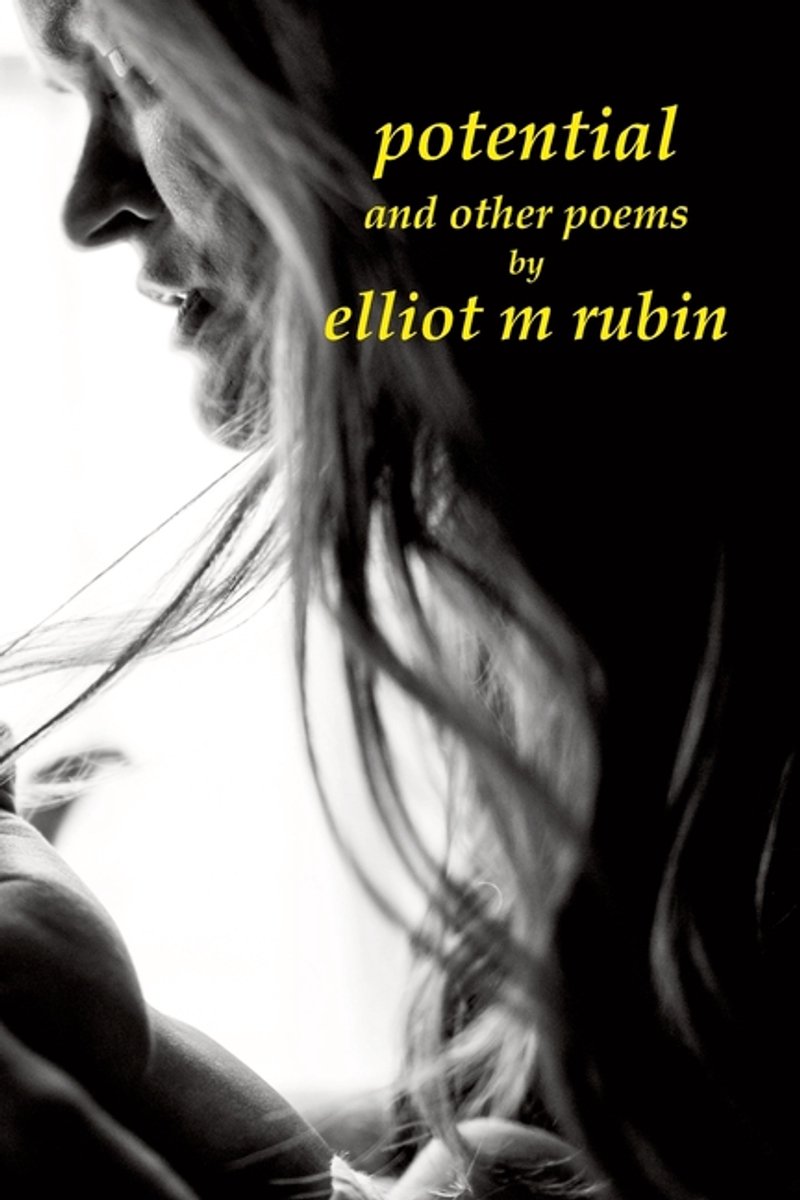 Potential And Other Poems van Elliot M Rubin