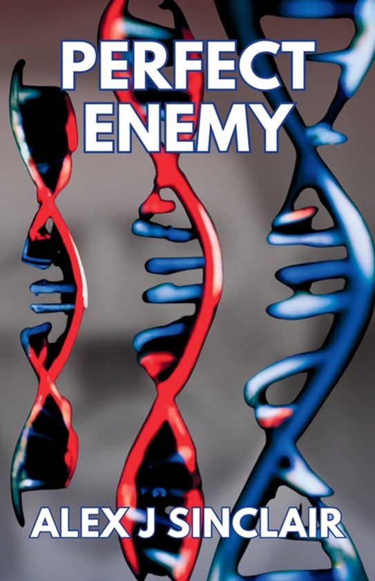 Perfect Enemy - cover