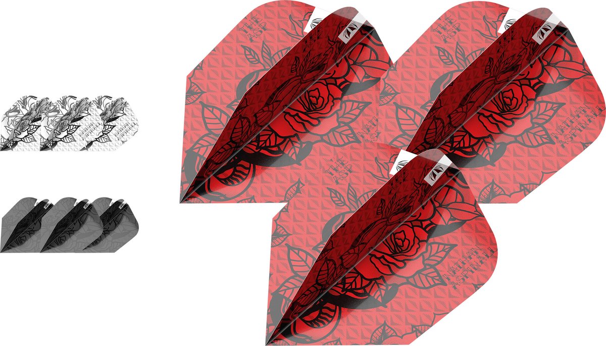 Target Nathan Aspinall 3 Sets Ink 2023 Ten-X - Dart Flights