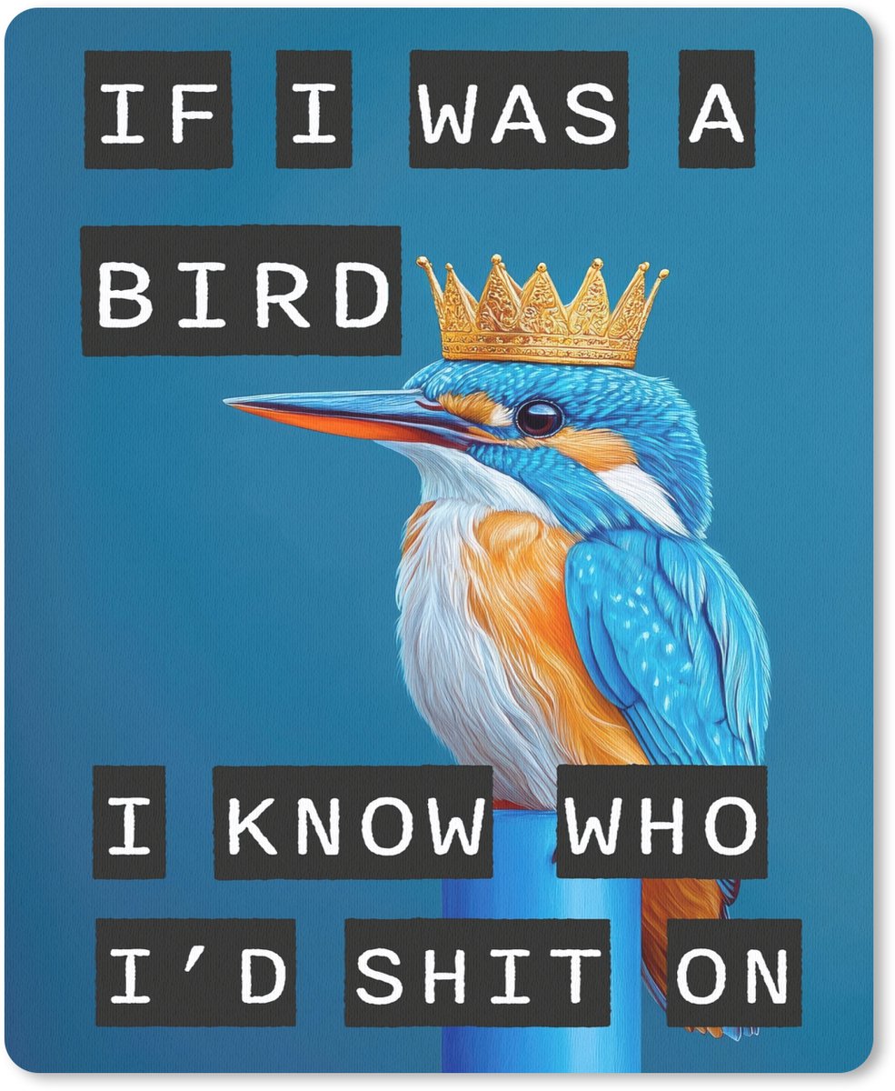 Muismat 19x23 cm - Mousepad Vogel - Decoratie - Ijsvogel - Blauw - Muismatten