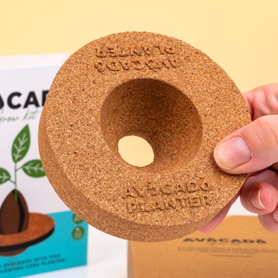 Gift Republic Kurken Ontkiemset Voor Avocado's van Gift Republic — afbeelding 5