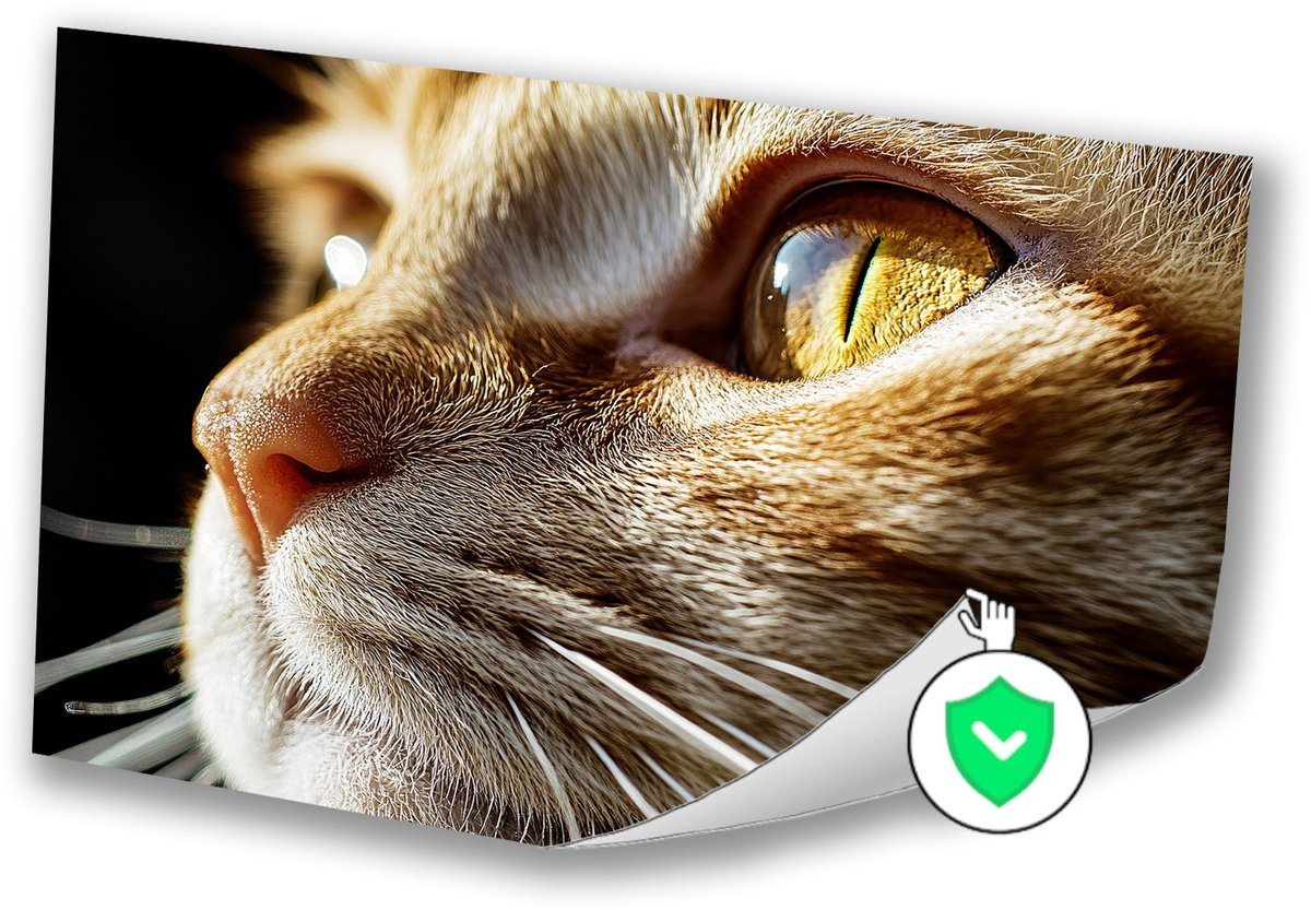Gedetailleerde close-up kattenoog - Kat posters - Poster dieren - Hyperrealisme - Slaapkam