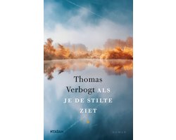 Omslag van Als je de stilte ziet