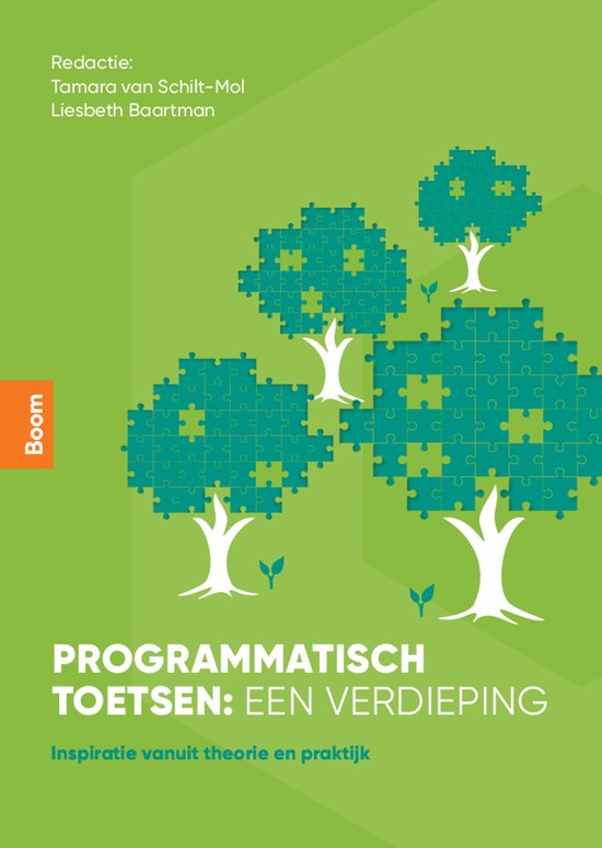 Programmatisch toetsen: een verdieping - cover