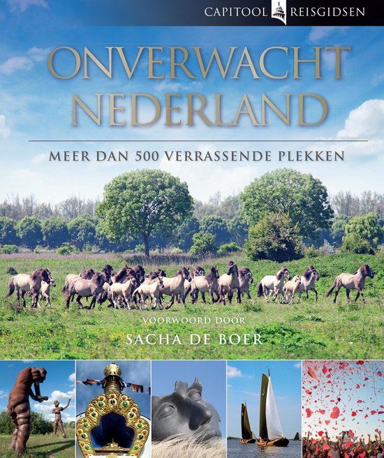 Capitool reisgidsen - Onverwacht Nederland - cover