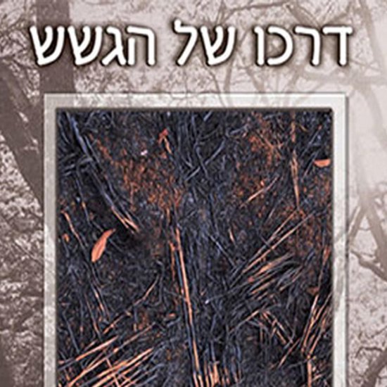 דרכו של הגשש - cover