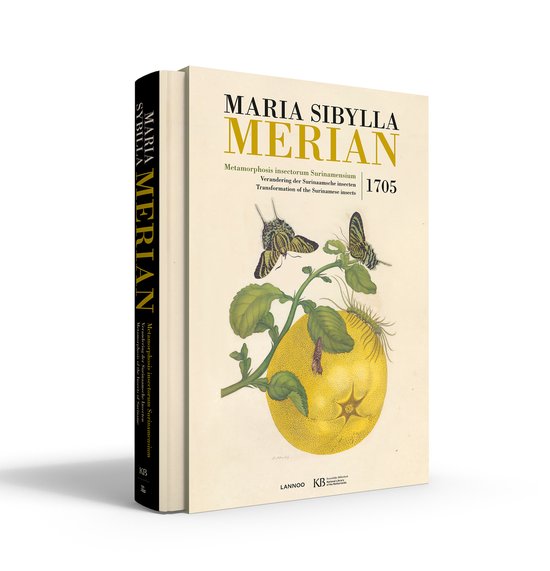 Maria Sibylla Merian. Metamorphosis insectorum Surinamensium