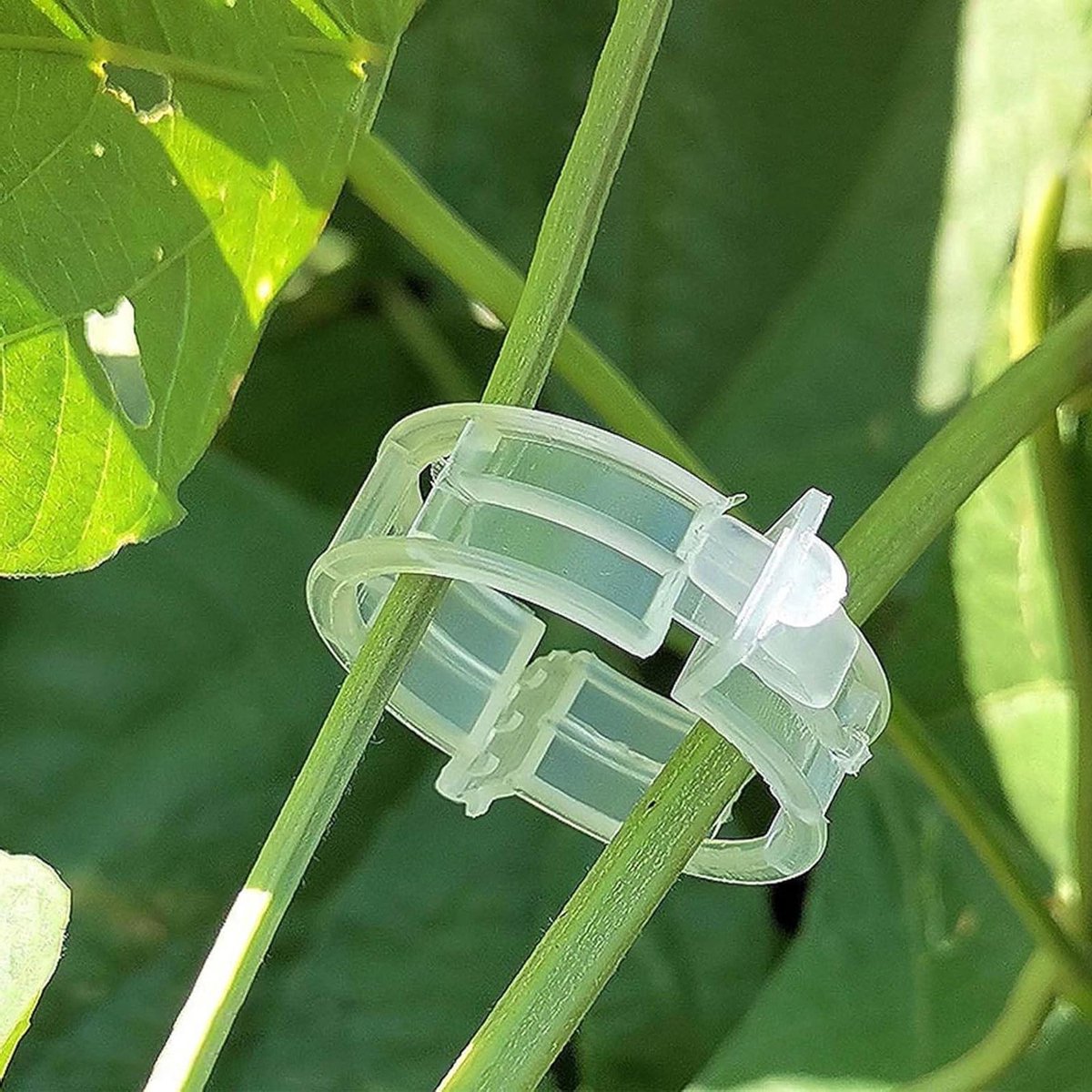 Plantenklemmen - 100 stuks Plantenclips voor tomatenzaailingen-entclip voor kleine en grote knoppen klimhulp groenten tomaten planten ondersteuning