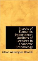 Insects of Economic Importance