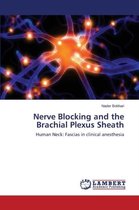 Nerve Blocking and the Brachial Plexus Sheath
