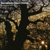 Breckland Dawn Chorus