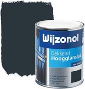 wond bevestigen Birma Wijzonol Dekkend Hoogglanslak - 0,75l - RAL 9010 | bol.com