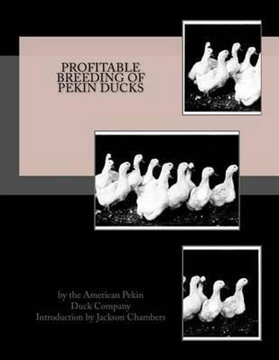 Profitable Breeding of Pekin Ducks - cover