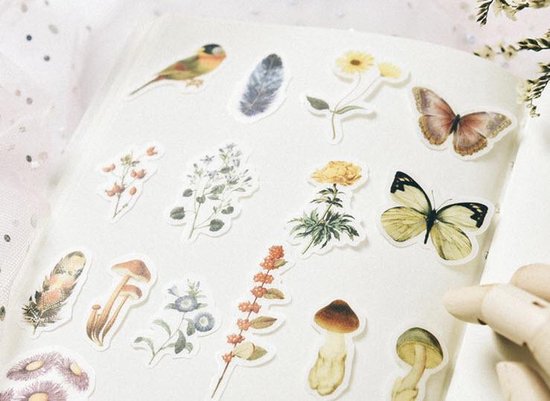 Sticker vel met vogels, vlinders, veren, paddenstoelen en bloemen.