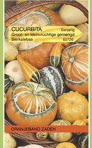 Cucurbita, Sierkalebas groot- en kleinvruchtig gemengd