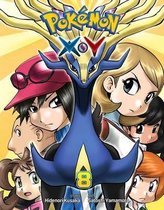 Pokemon X-Y 8