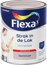 Flexa Strak in de Lak - Watergedragen - Hoogglans - sepiataupe - 0,75 liter