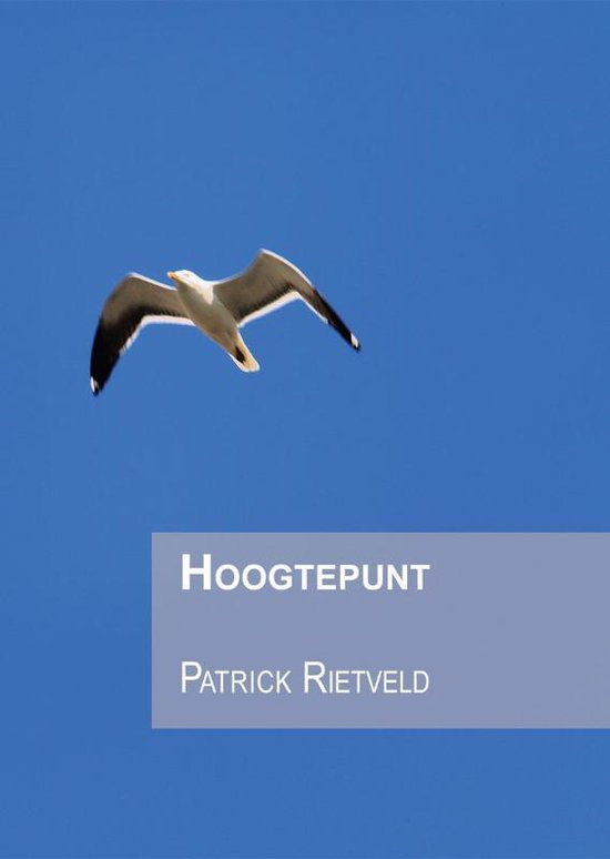 Cover van het boek 'Hoogtepunt' van Patrick Rietveld