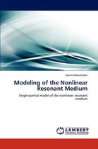 Modeling of the Nonlinear Resonant Medium