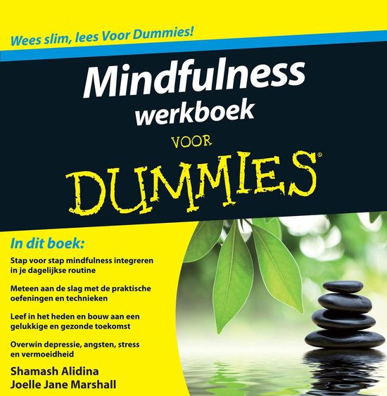 Voor Dummies - Mindfulness werkboek voor Dummies