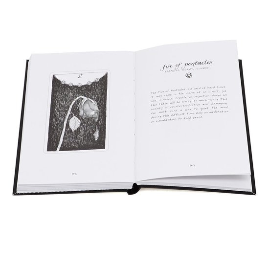 The Wild Unknown Tarot Deck and Guidebook (Official Keepsake Box Set) — afbeelding 5
