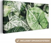 Canvas Schilderij Bladeren - Planten - Natuur - 80x40 cm - Wanddecoratie