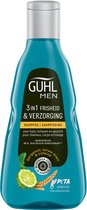 Guhl Shampoo Man Freshness & Care 250 ml