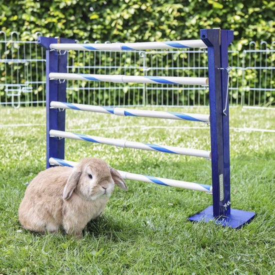 Leuke en Stimulerende Speelideeën voor Konijnen