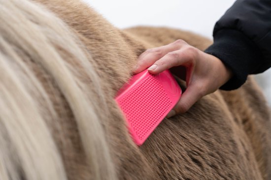 Excellent Horse Grooming Brush - Multifunctionele paarden borstel - Verwijderd losse haren en masseert - Geschikt voor paarden - Maat L - Zwart - Holland Animal Care