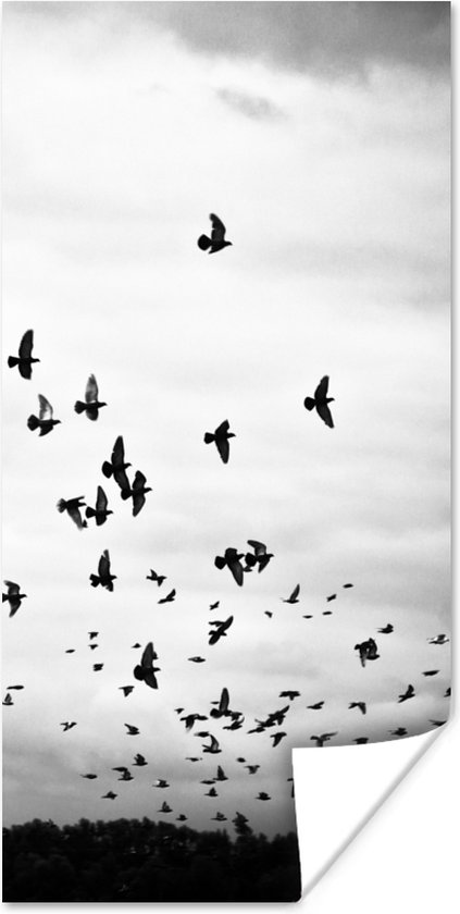 Poster Dieren - Vogels - Wolken - Zwart - Wit - 20x40 cm