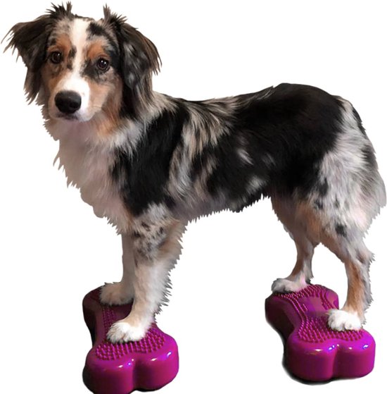 Foto: Fitpaws dierenbalansplatformen 2 st mini k9fitbone 29x16 5x6 cm blauw