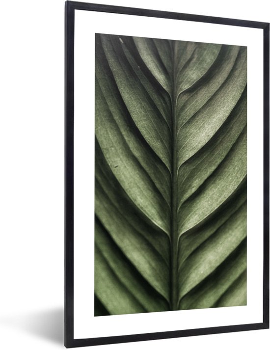 FrameYourWall® - Fotolijst met poster 80x120 - Bladeren - Groen - Natuur - Botanisch - Fotokader van hout - Kaders en lijsten - Houten fotolijstje - Wissellijst voor muurposter - Picture en photo frame - Posterlijst - Fotohouder