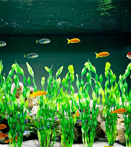 Aquarium Plante Artificielle Aquarium En Plastique Plante Vivante