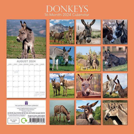 Donkeys - Calendriers 2021