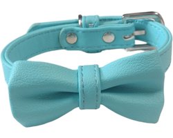 Nobleza Hondenhalsband - Maat S - Verstelbaar 25 / 31 cm - Halsband hond - Puppyhalsband - Halsband pup - Gespsluiting - Blauw