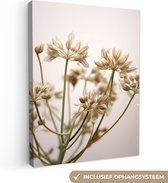 Canvas Schilderij Droogbloemen - Beige - Wit - Planten - 30x40 cm - Wanddecoratie