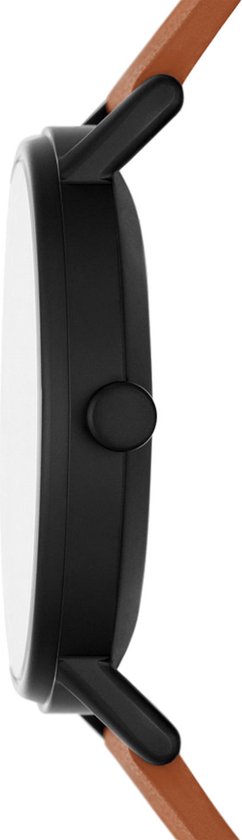 Horlogebandjes 20mm De Mooiste Skagen Horloges Voor Heren | HorlogeKiezen.nl Vervangende Band 20 Mm