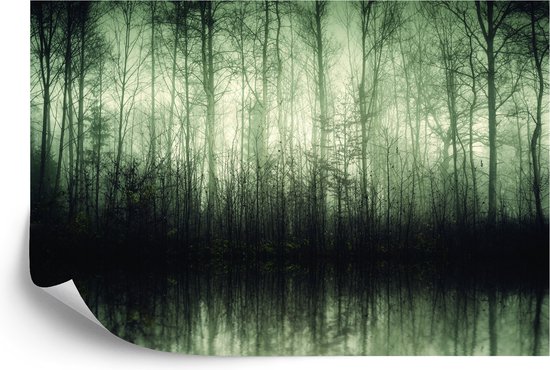 Papier peint photo Forêt Arbres Water - Papier peint non tissé - 520 x 318 cm