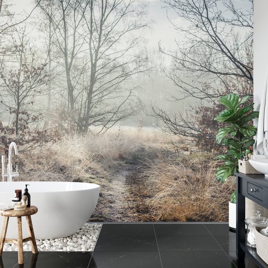 Papier peint photo Forêt dans la brume - Papier peint non tissé - 520 x 318 cm