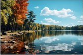 Poster (Mat) - Bomen - Bos - Meer - Water - Kleuren - 60x40 cm Foto op Posterpapier met een Matte look
