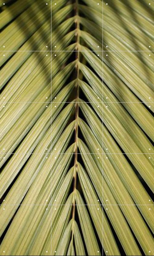 IXXI Tropical - Wanddecoratie - Fotografie - 60 x 100 cm