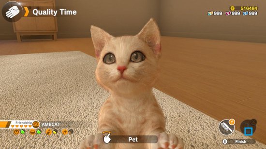 Little Friends: Dogs and Cats - Nintendo Switch - Sold Out