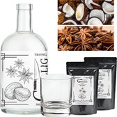 Grillig Infusions - Tropig - Kokos en Steranijs - DIY Set voor je eigen drank - Inclusief twee navulverpakkingen en gratis glas
