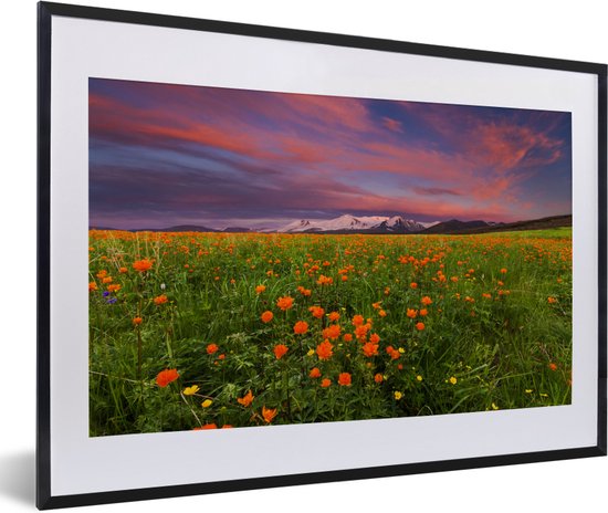 Ciel rose au dessus d'une prairie fleurie 60x40 cm