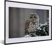 Fotolijst incl. Poster - Een besneeuwde bosuil kijkt in de camera - 40x30 cm - Posterlijst