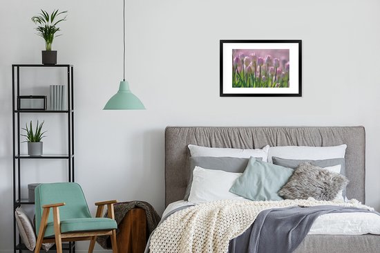 Photo encadrée - Tulipes roses au printemps cadre photo noir avec passe-partout blanc 60x40 cm - Affiche encadrée (Décoration murale salon / chambre)