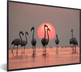 Affiche - Cadre photo - Flamingo - Soleil - Rose - Vogel - Tropical - Cadre - 80x60 cm - Affiche avec cadre - Image dans cadre - Affiche animaux - Affiche flamant rose - Décoration murale