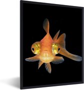 Cadre photo avec affiche - Poisson rouge - Animaux aquatiques - Yeux - 60x80 cm - Cadre pour affiche