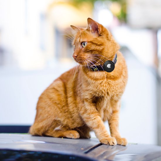 Traqueur de chat et de chien, Comprend Apple AirTag, porte-collier en  silicone