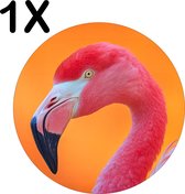 BWK Stevige Ronde Placemat - Roze Flamingo met Oranje Achtergrond - Set van 1 Placemats - 50x50 cm - 1 mm dik Polystyreen - Afneembaar